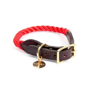 Found My Animal - Rope & Leather Cat/Dog Collar