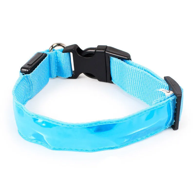 Light Up Dog Collars