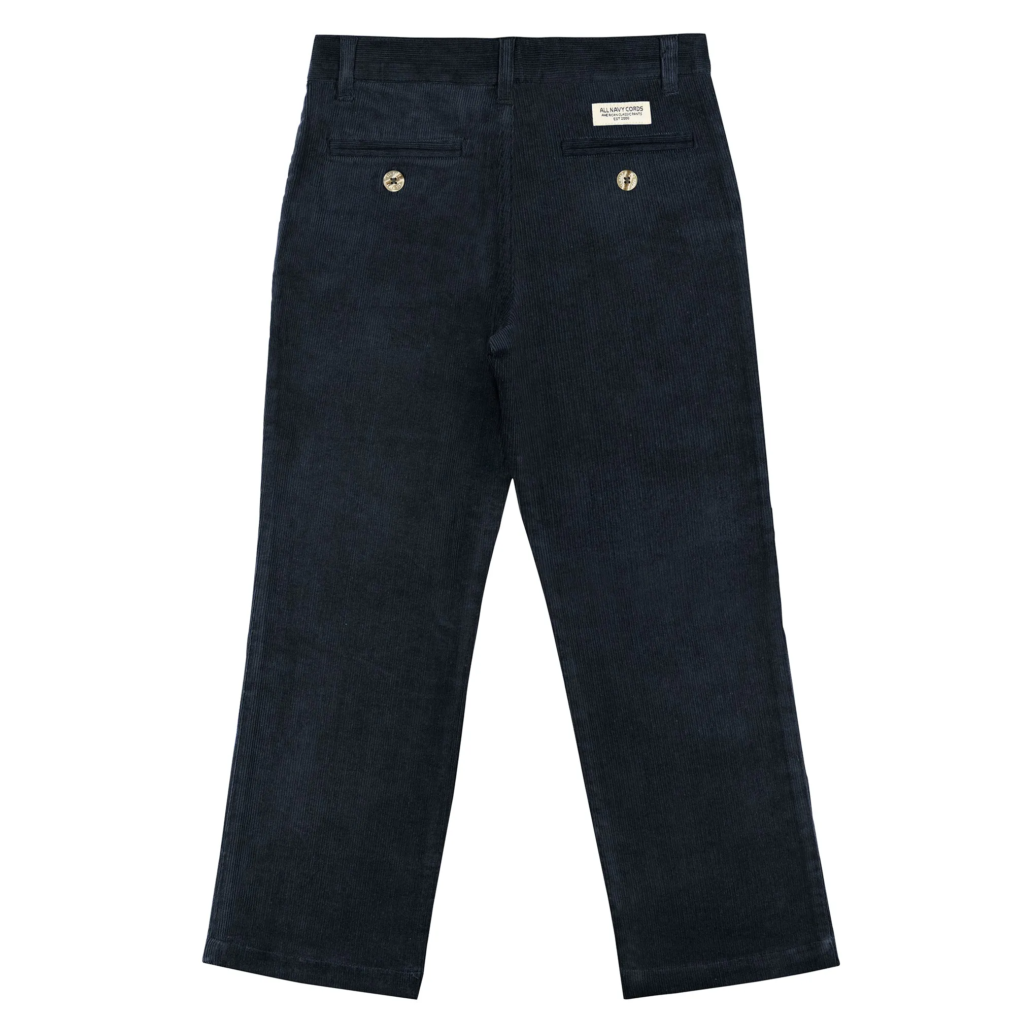 Navy Regular Fit Corduroy Pants