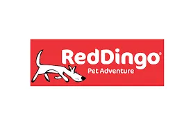 Red Dingo - Red Stars Dog Collar - Small