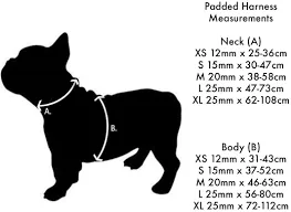 Red Dingo - Red Stars Dog Collar - Small